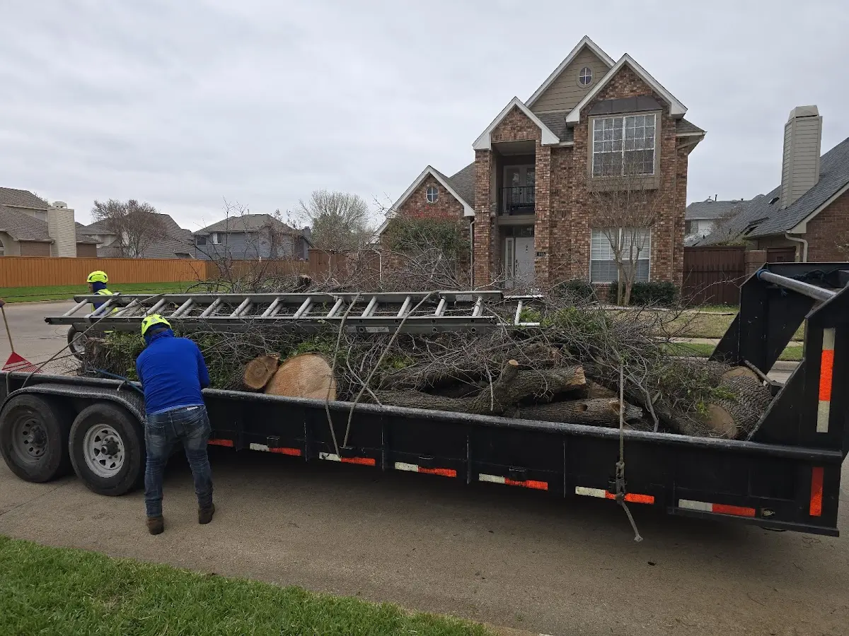 Expert Lot Clearing with proper safety equipment in Lakeshore